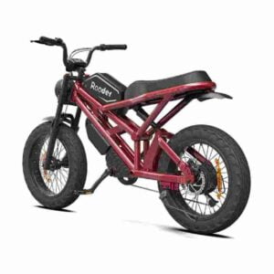 250w Electric Bike China Precio barato CE para la venta