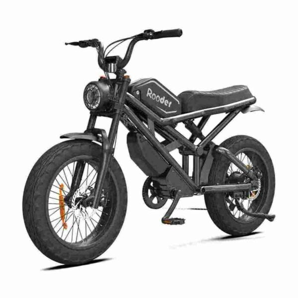 750w Electric Bike Precio barato CE para la venta