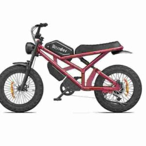 750w Fat Bike Precio barato CE para la venta