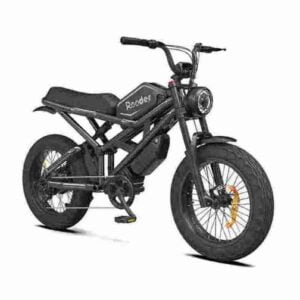 750w Fat Tire Ebike Precio barato CE para la venta