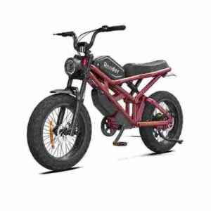 Best Electric Cycle Precio barato CE para la venta