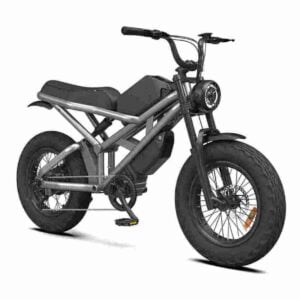 Best Fat Tire Ebike Canada Precio barato CE para la venta