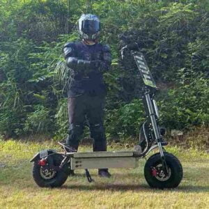 City Coco 3 WheelPrecio barato CE para la venta