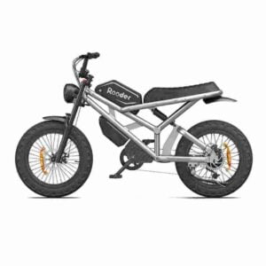 Citycoco Electric Chopper Precio barato CE para la venta