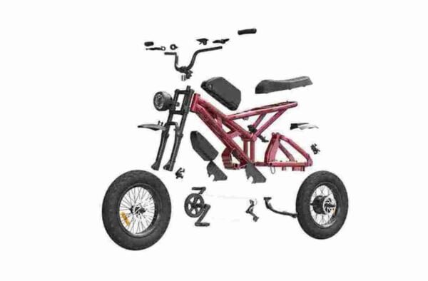 Custom Electric Scooter Precio barato CE para la venta