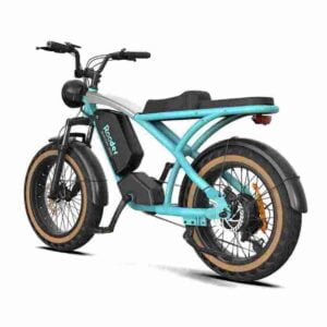 Ebike Fat Bike Precio barato CE para la venta