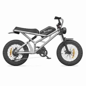 Electric Bike Manufacturers Precio barato CE para la venta