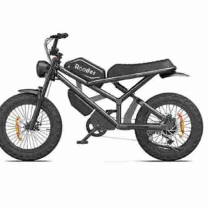 Electric Fat Bike Price Precio barato CE para la venta