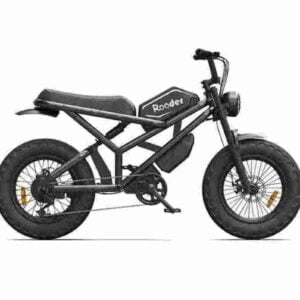 Fat Tire Electric Bike 750 Watt Precio barato CE para la venta