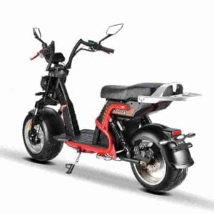 Fat Tire Electric ScooterPrecio barato CE para la venta