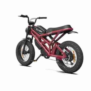 Rooder citycoco escooterPrecio barato CE para la venta