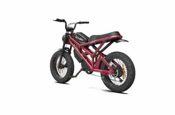 Rooder citycoco escooterPrecio barato CE para la venta