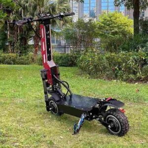 Trike ScooterPrecio barato CE para la venta