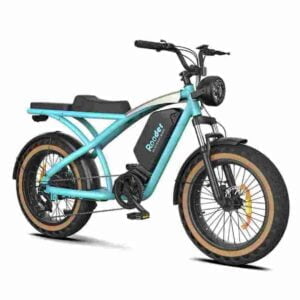 Womens Electric Mountain Bike Precio barato CE para la venta
